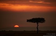 KENYA 2024